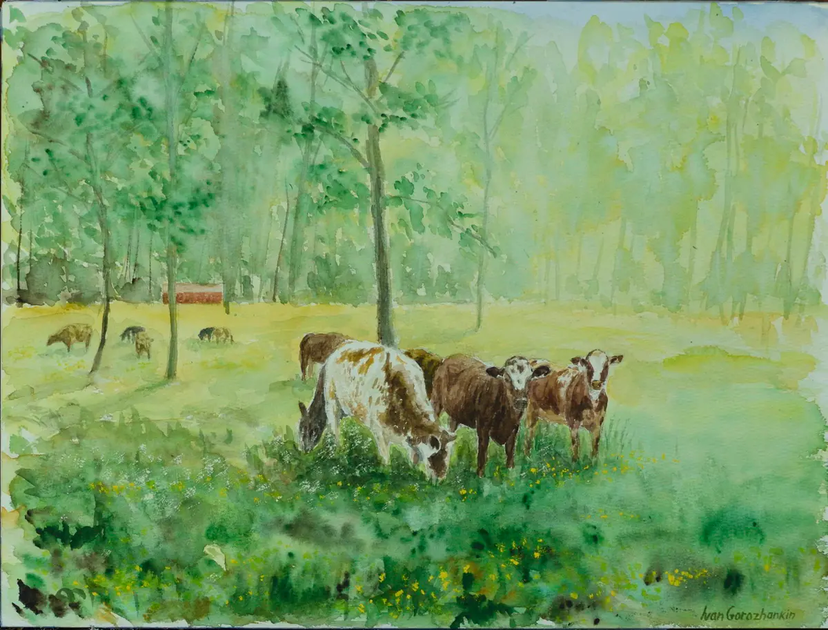 Betande kor i värmländsk skogsglänta - Akvarell - Impressionism - 41×31 cm av Ivan Gorozhankin