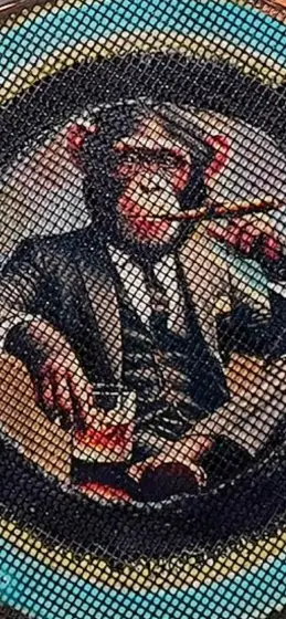 Monkey Business (5200 kr) thumbnail 3