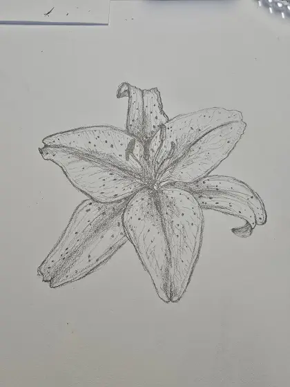 Kunst fremvisning (tager comissions) thumbnail 5